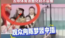 独家爆料小程序入口在哪 体育圈不是饭圈,独家爆料小程序入口大公开，体育圈与饭圈界限再划！